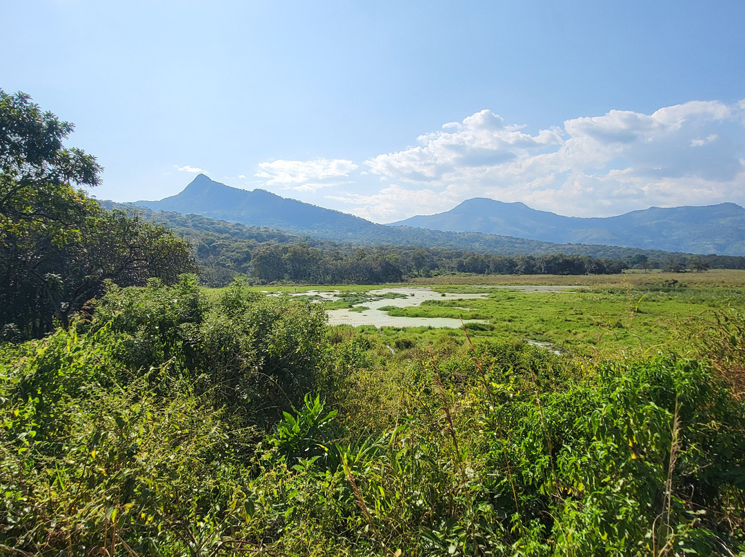 Bale Trek Ethiopia Tours景点图片