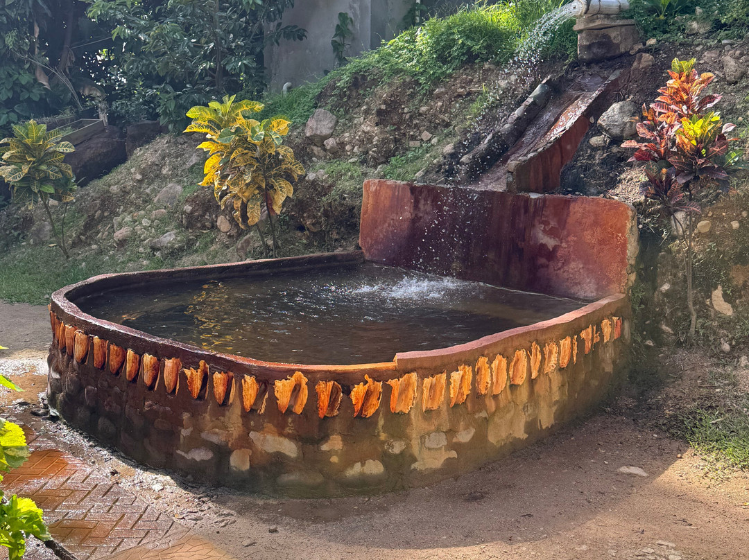Bambooze Sulphur Baths-Soufriere必去景点
