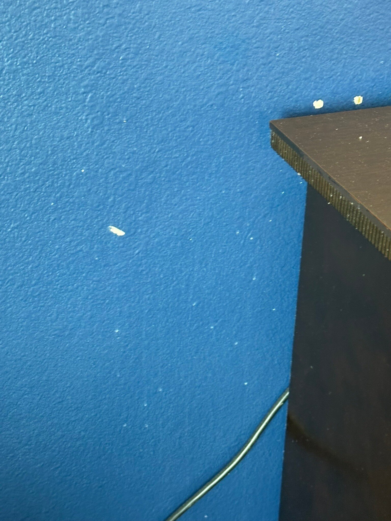 La Quinta Inn & Suites by Wyndham Alvin-官方