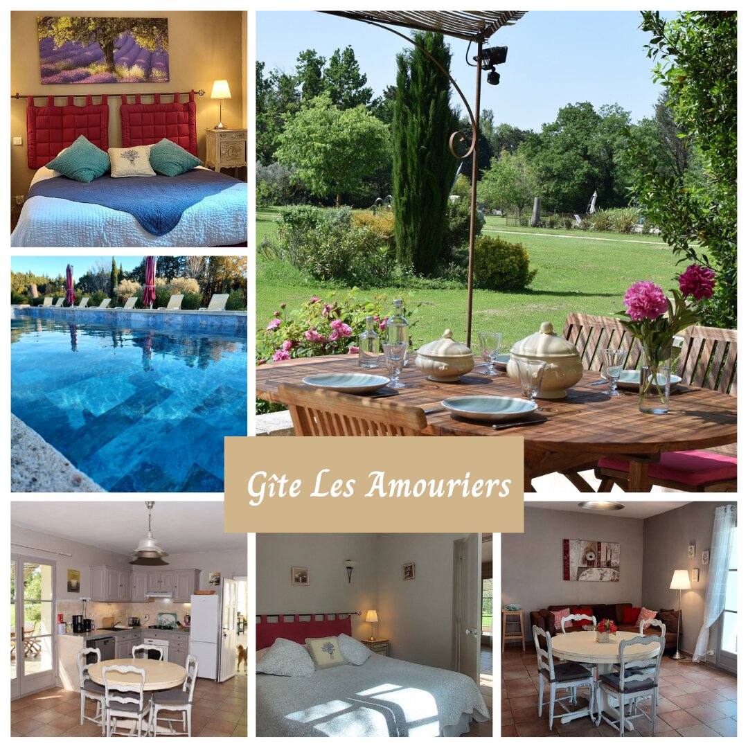 La Bastide Des Amouriers-客卧