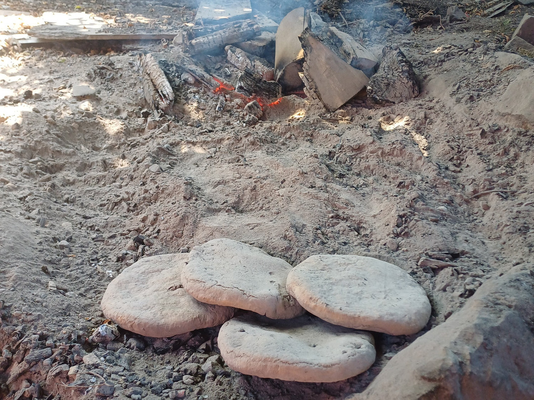 Isla Huapi-Futrono必去景点