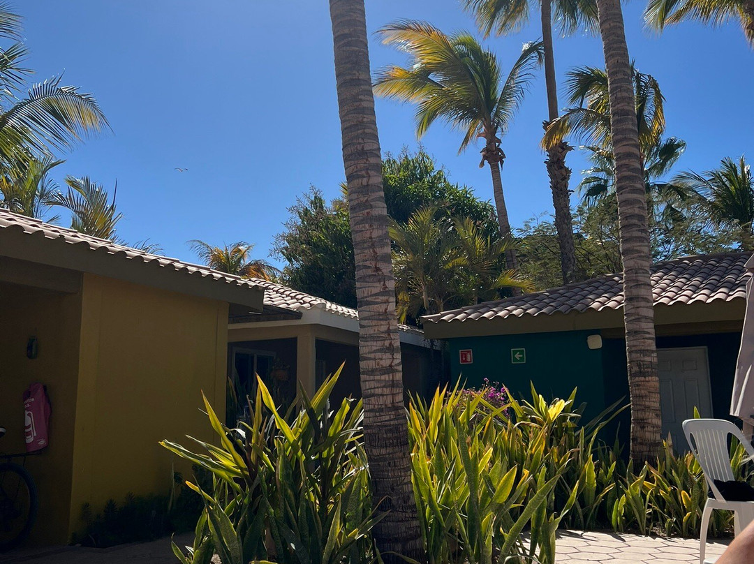 Coco Cabanas Loreto主图