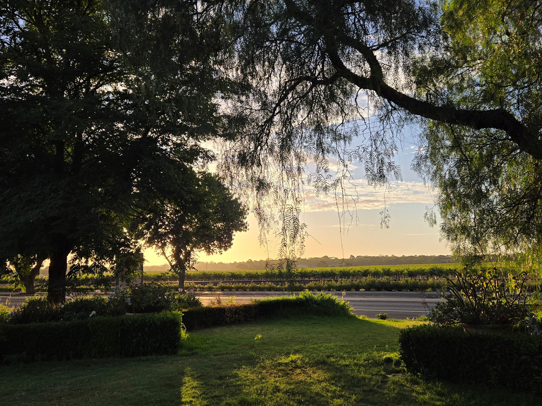 巴罗莎家庭式酒店主图