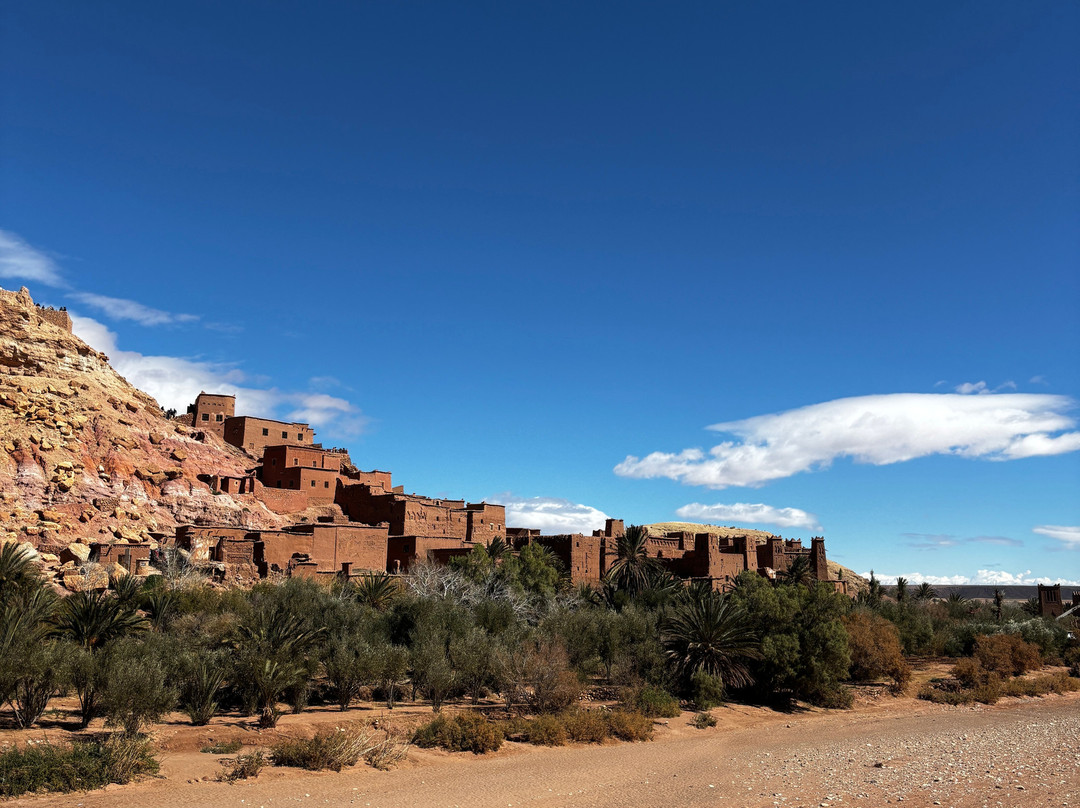 Morocco Global Adventures-卡萨布兰卡必去景点