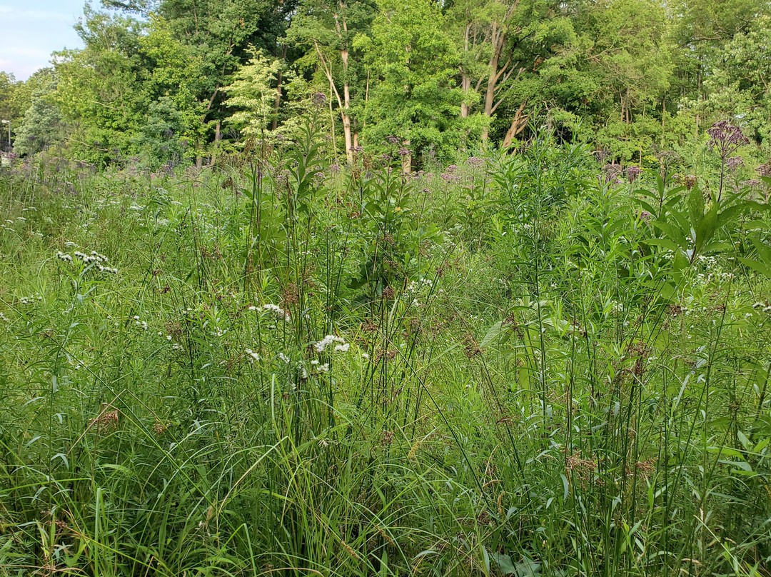 Brecksville Reservation-Brecksville必去景点