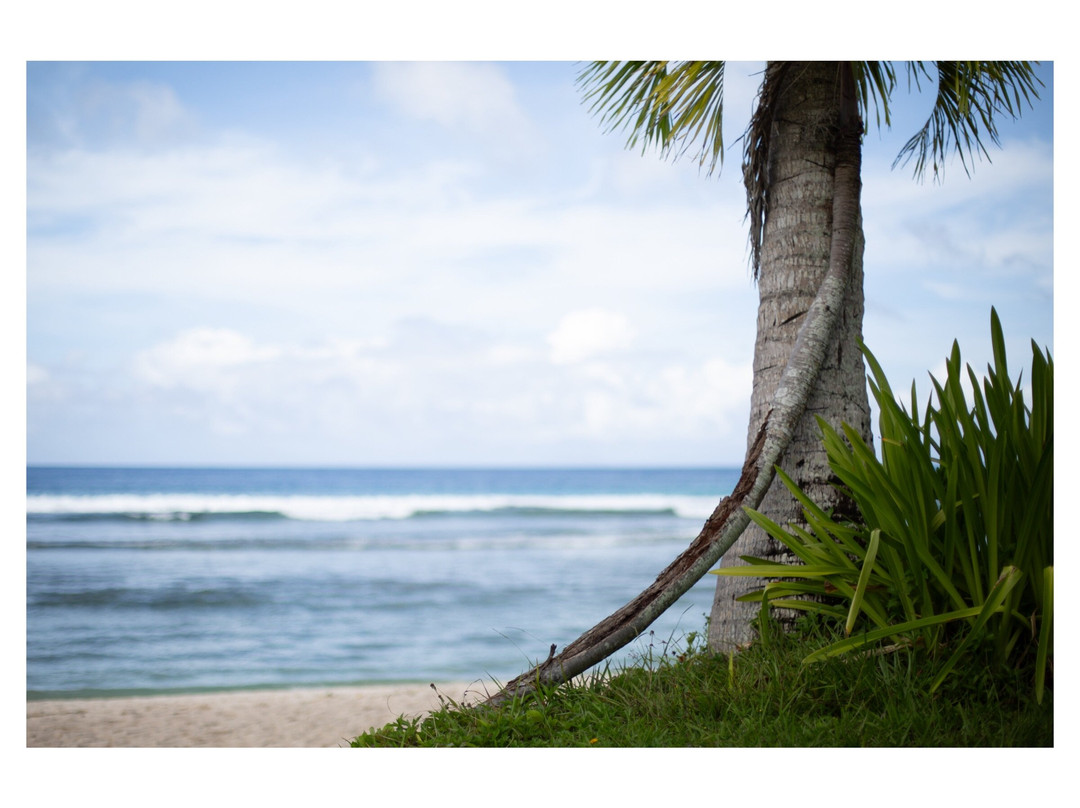 关岛日航酒店主图