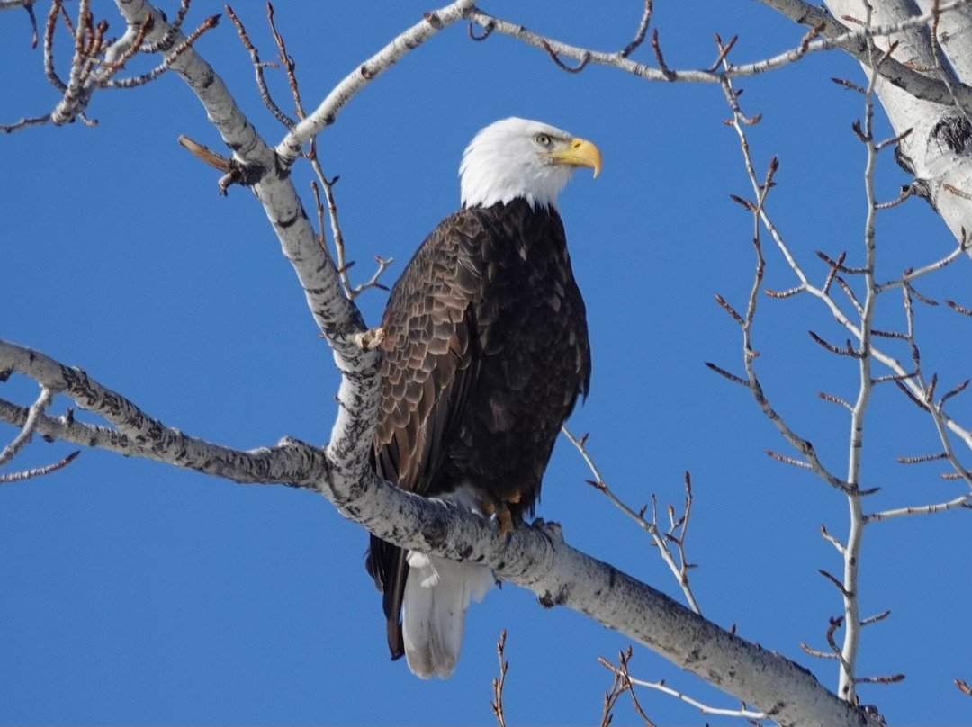 Lee Metcalf National Wildlife Refuge景点图片