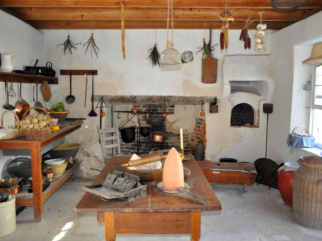 Ximenez-Fatio House Museum景点图片