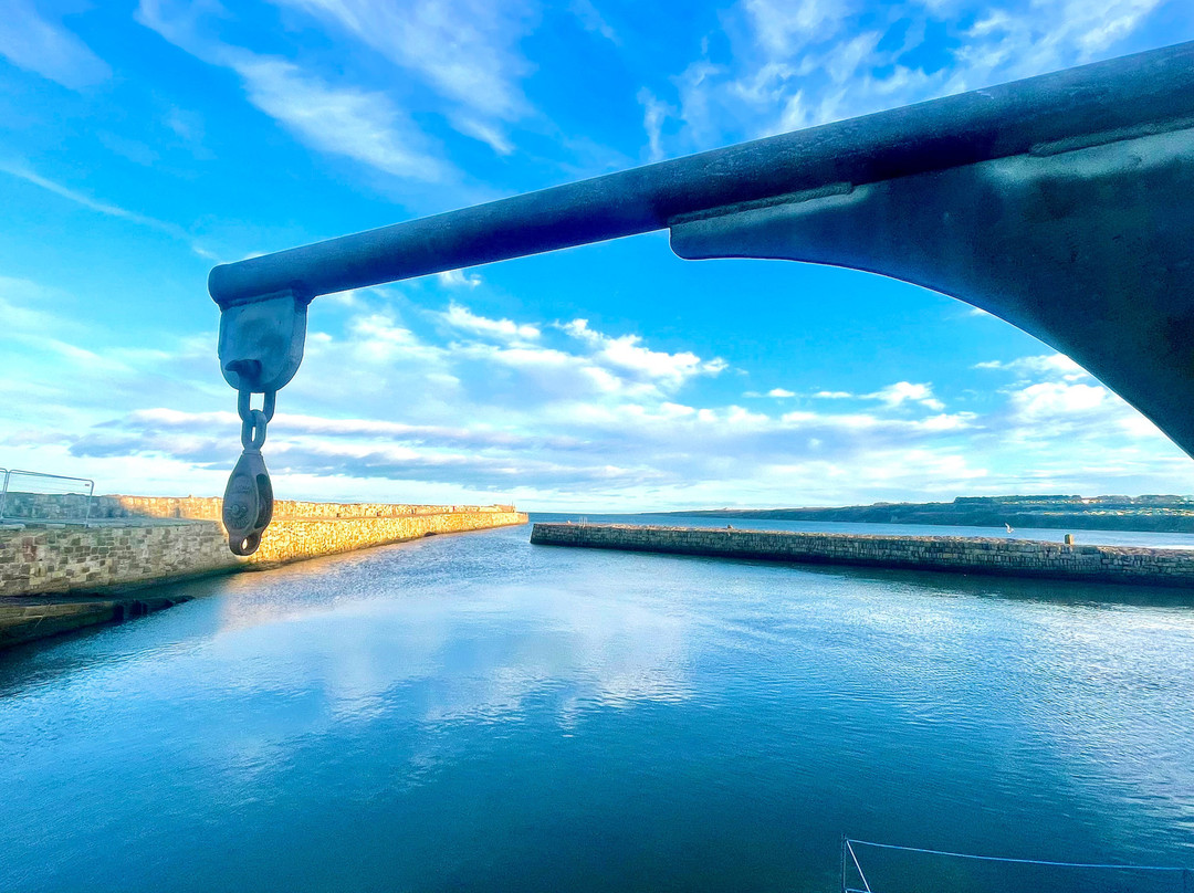 St Andrews Harbour Trust-圣安德鲁斯必去景点