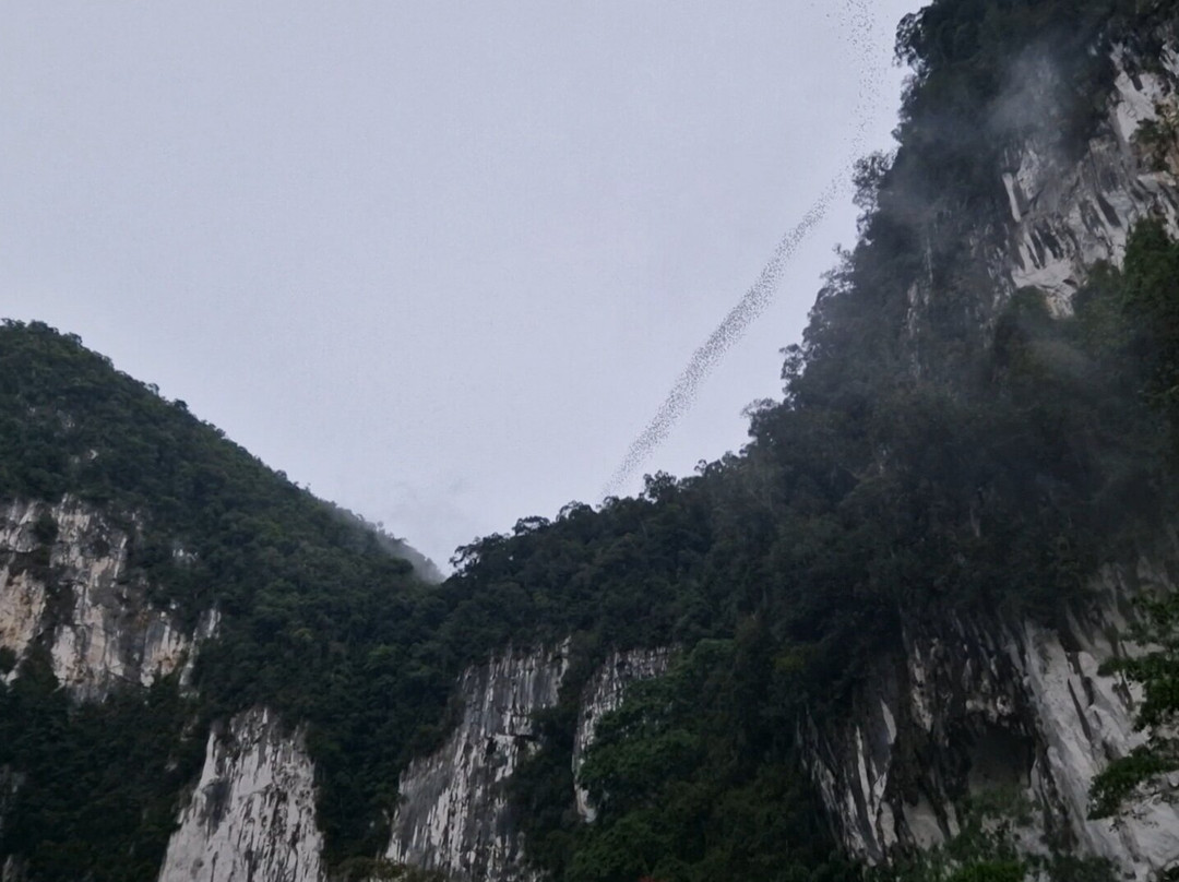 Deer Cave-姆鲁国家公园必去景点