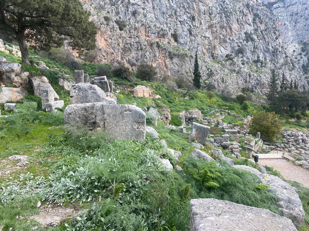 Ancient Theatre-德尔斐必去景点