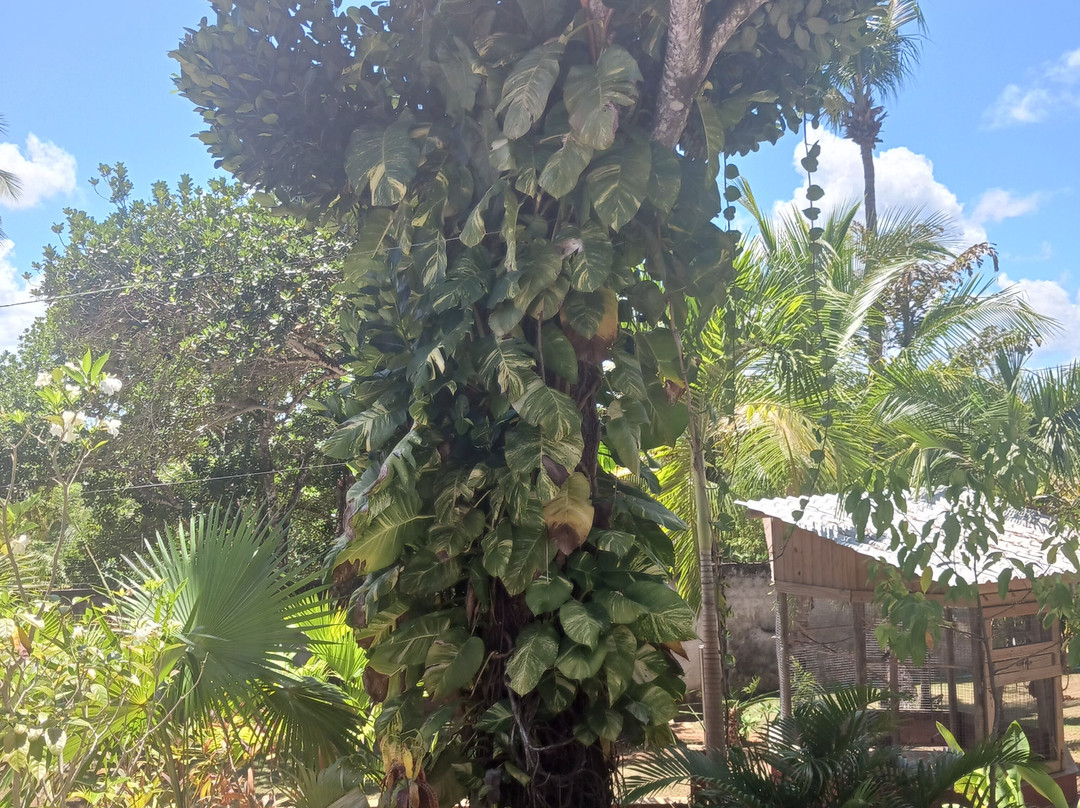 Hotel Pousada Rancho Fundo主图