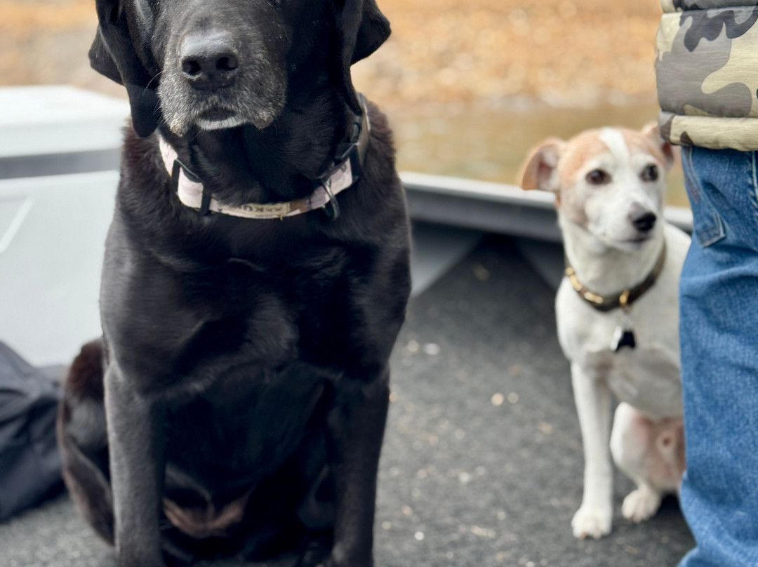Sac River Guide-雷丁必去景点
