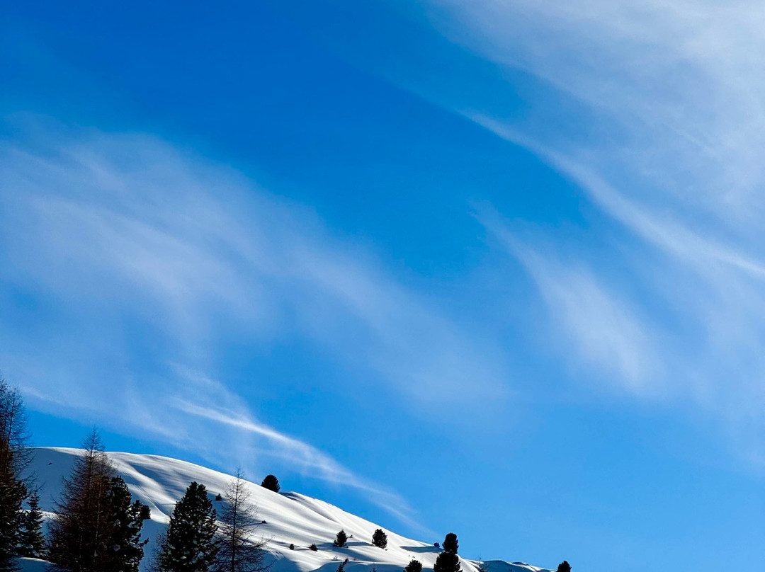 Pensione Amalia主图