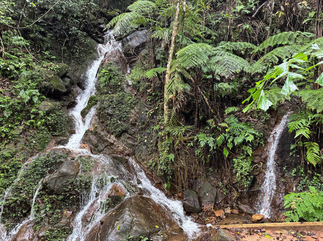 Ceylon Culture And Nature景点图片