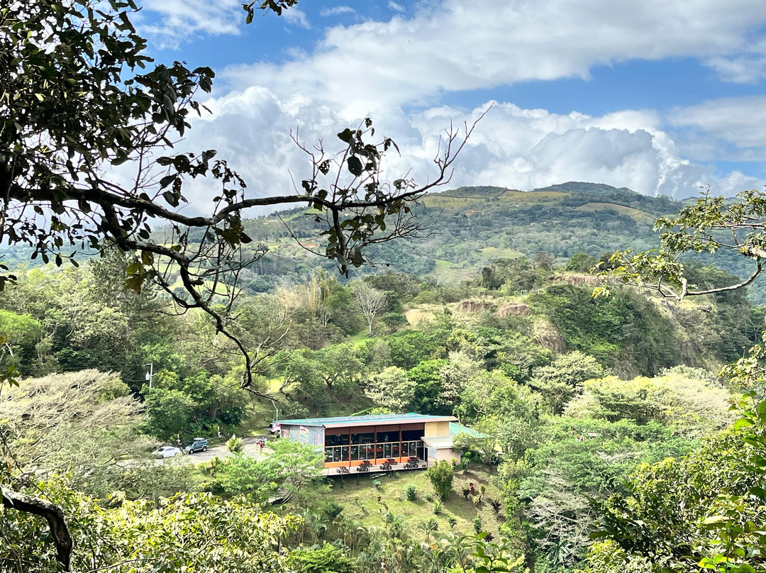 Parque De Aventura Eco Musas景点图片