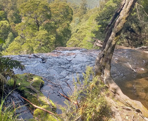 Paul's Tassie Tours and Charters-霍巴特必去景点