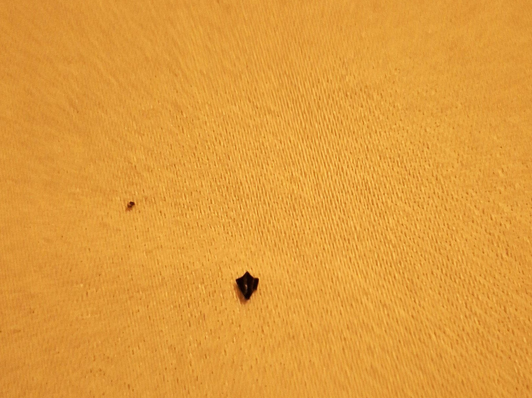 Corners Mansion Inn - A Bed and Breakfast主图