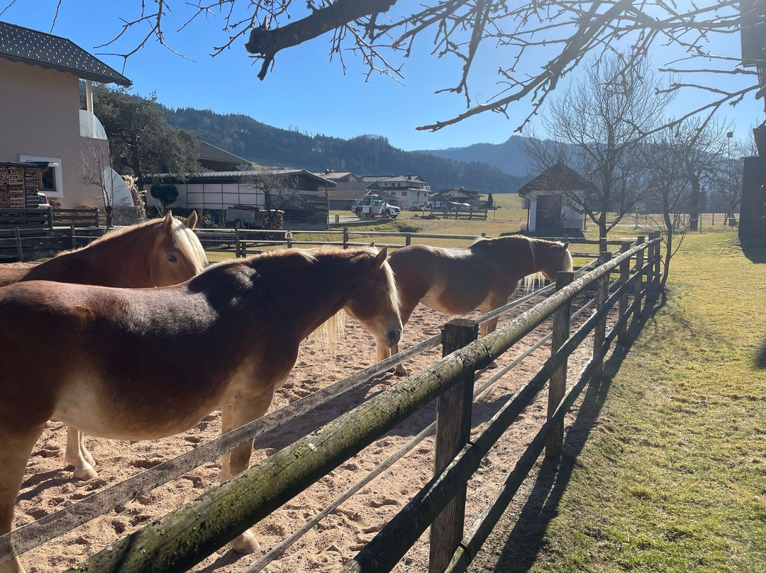 Gaestehaus Bramboeck主图