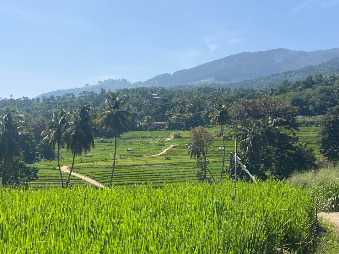 Sandalwood Valley-Leisure Bug Sri Lanka Tours & Home Stay主图