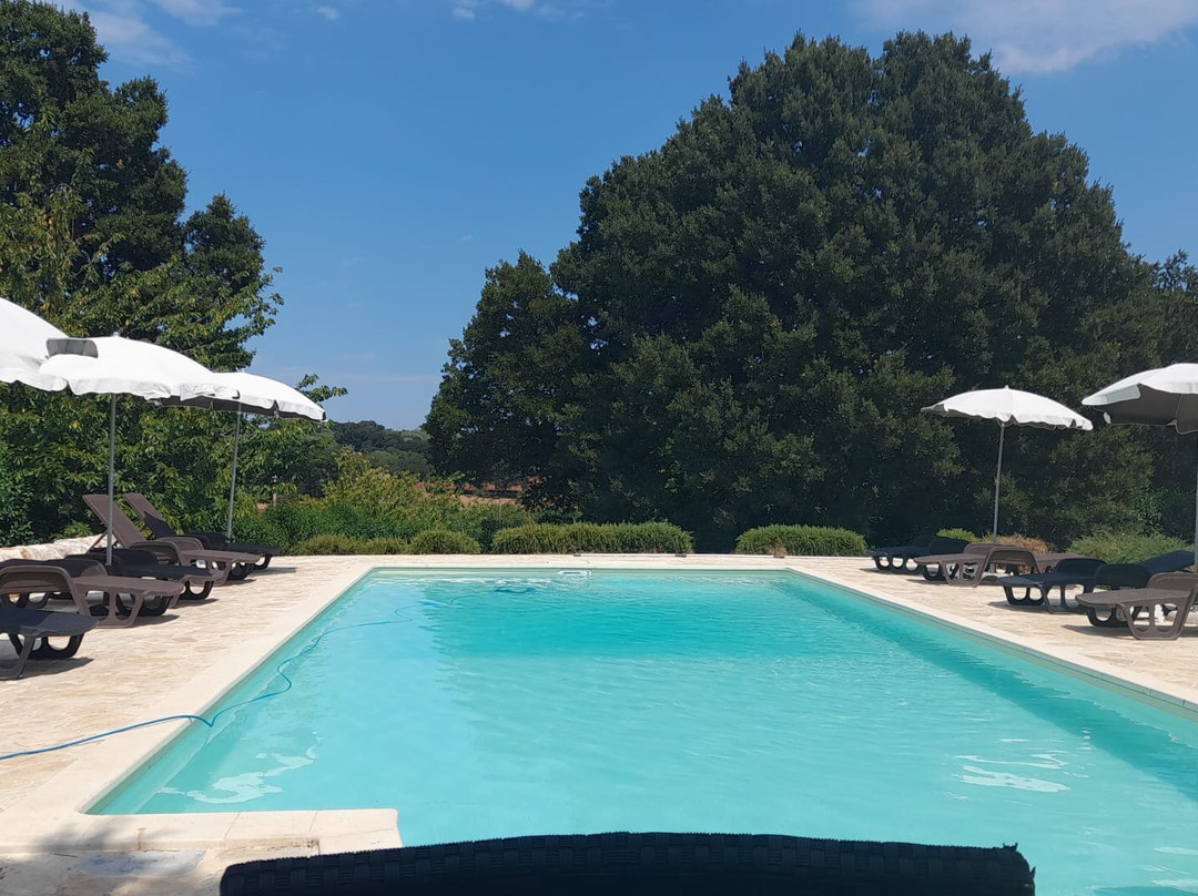Villa Apollonia B&b主图