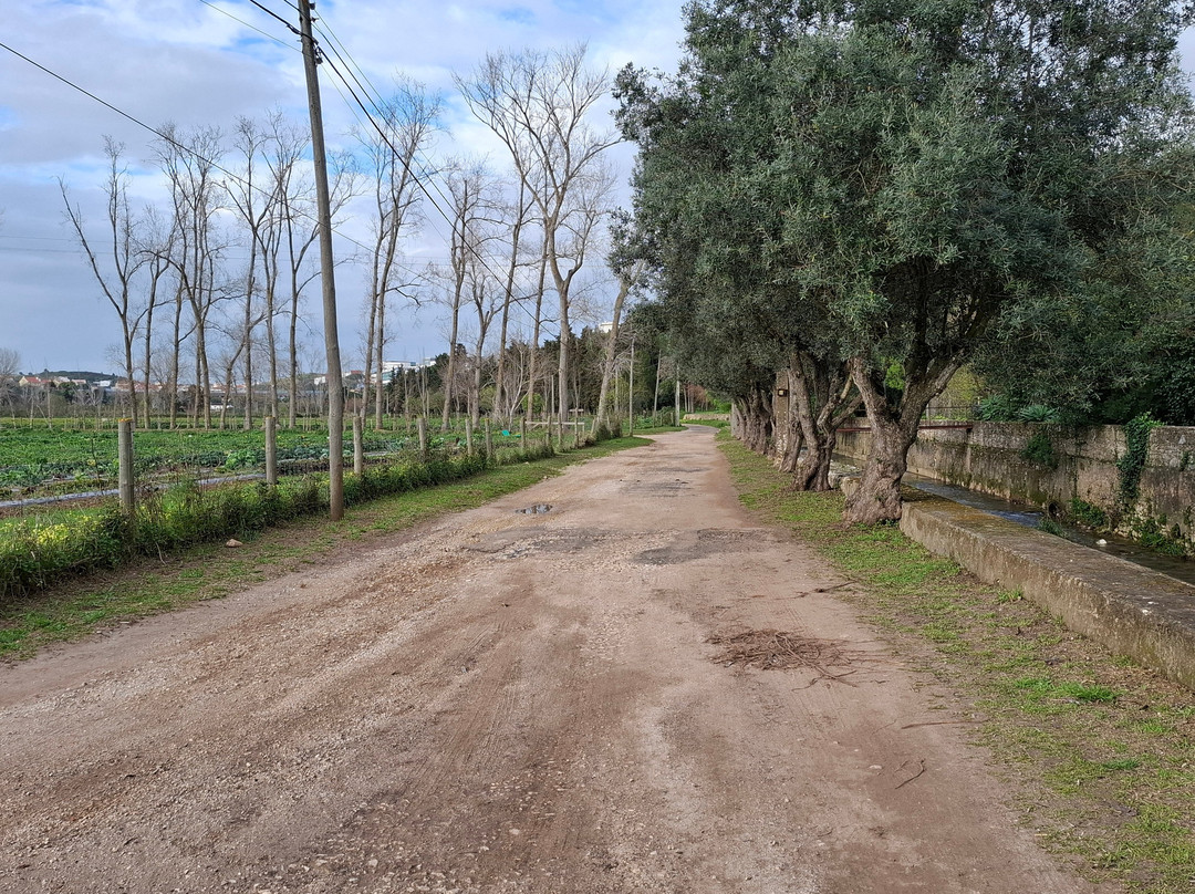 Quinta De Recreio Dos Marqueses De Pombal