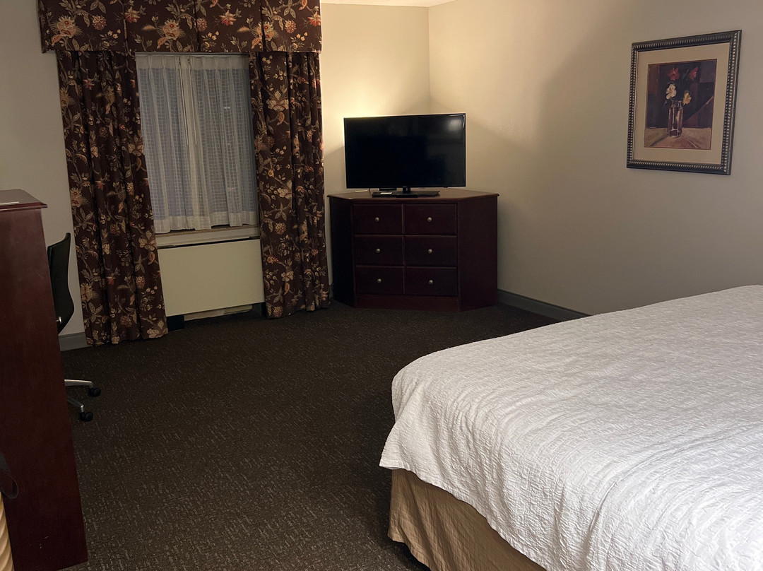Hampton Inn By Hilton Schenectady Downtown主图