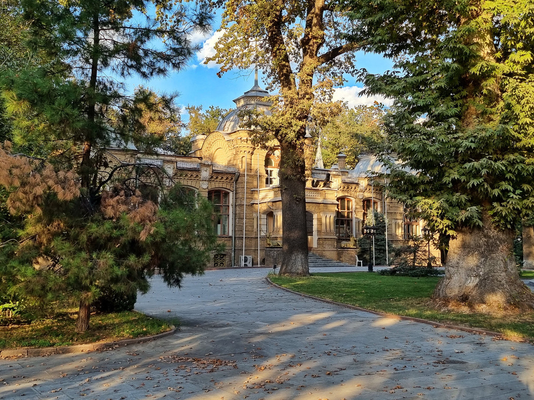 Romanov Palace-塔什干必去景点