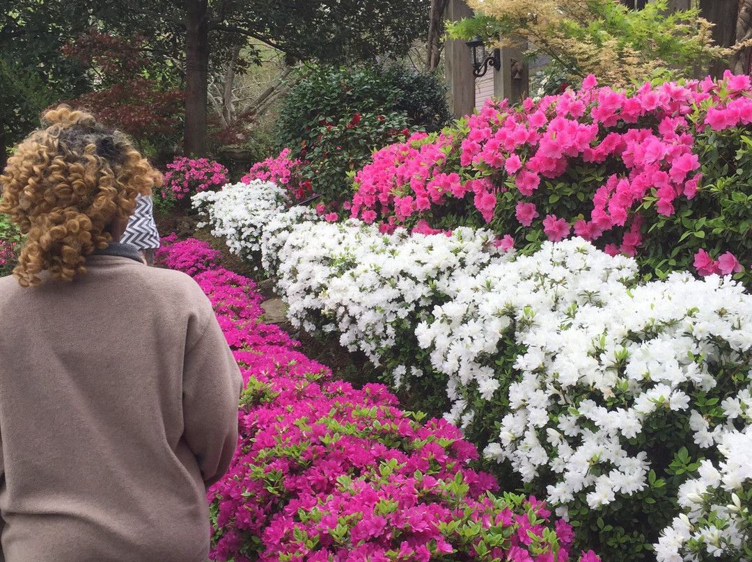 Azalea Residential Historic District-泰勒必去景点