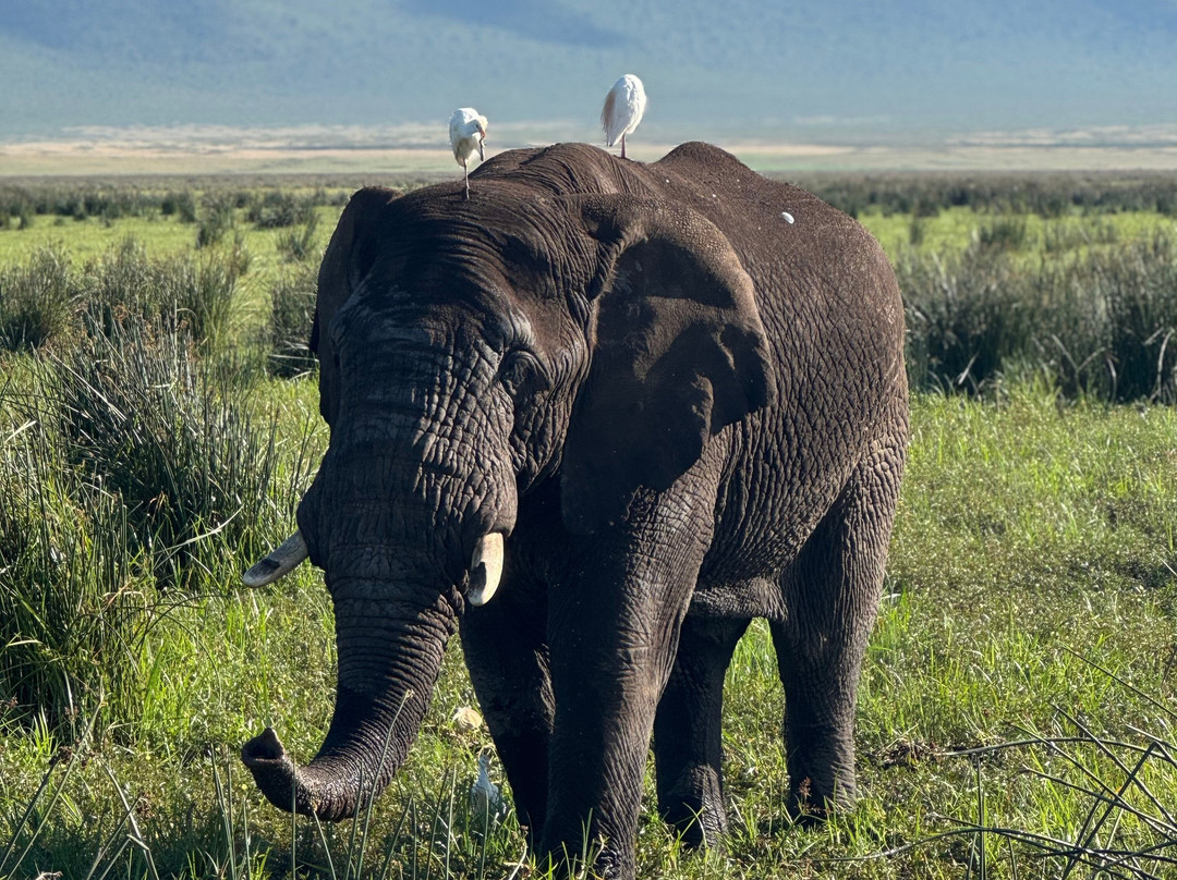 Africasana tours and safaris company-莫洛哥罗必去景点