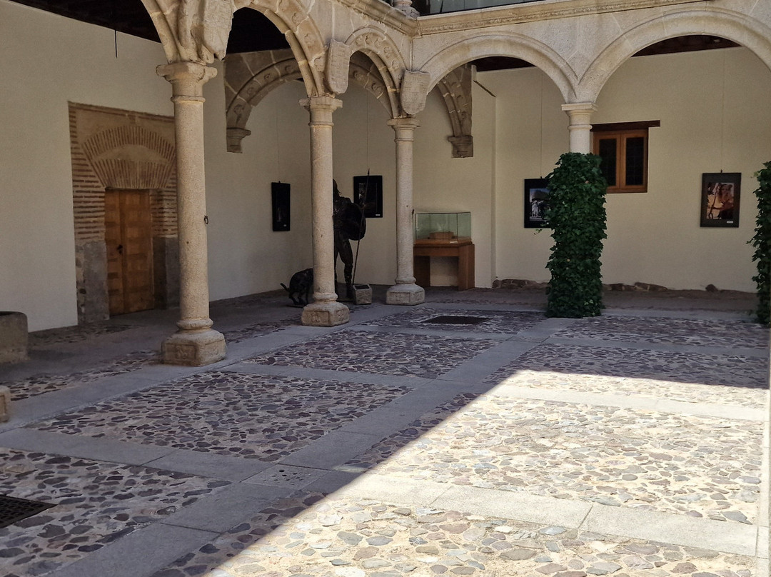 Palacio de Los Verdugo景点图片