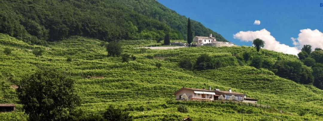 Col San Martino旅游攻略图片