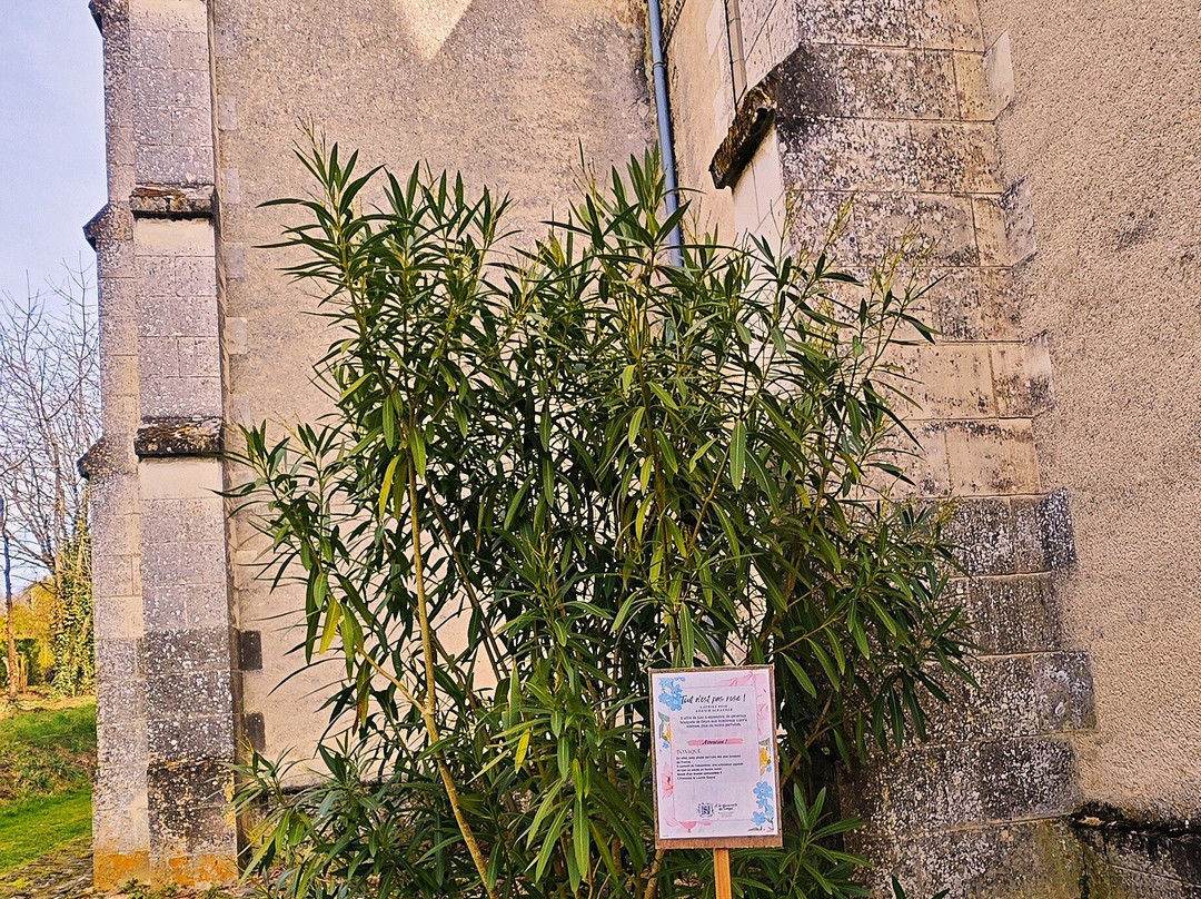 Eglise Notre-dame-Le Tranger必去景点