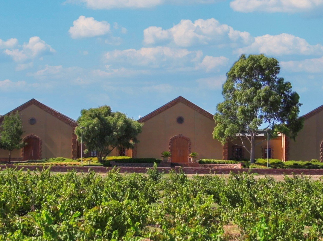 Murray Street Vineyards景点图片