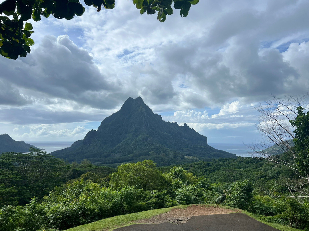 Moorea Mahana Tours