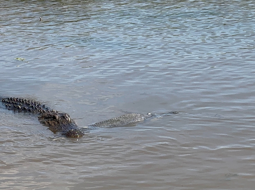 Airboat Express - Tours-Spanish Fort必去景点