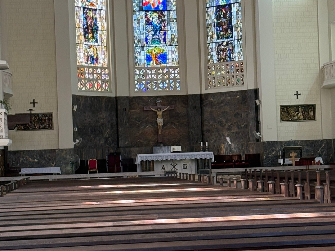 Cathedral of Our Lady of the Immaculate Conception景点图片