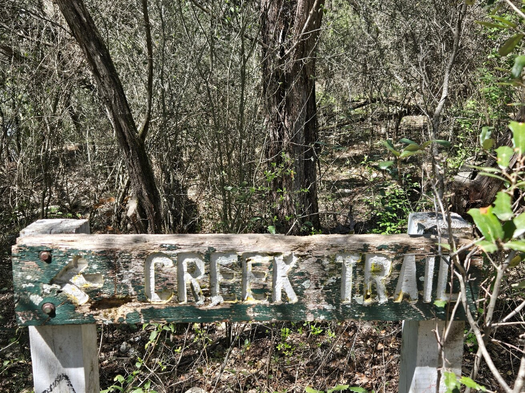 Mayfield Park-奥斯丁必去景点