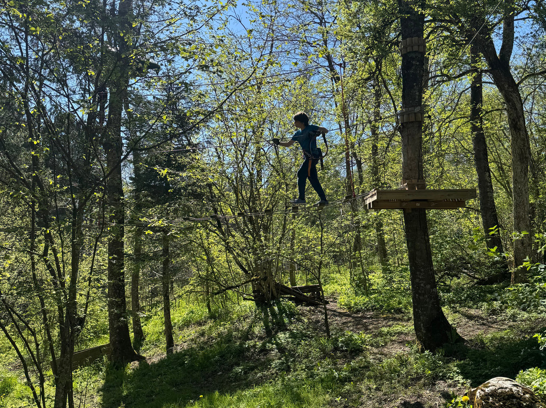 Parc Aventure Chaumont-Chaumont-de-Pury必去景点