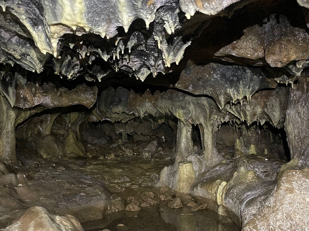 Riserva Naturale Grotta di Carburangeli景点图片
