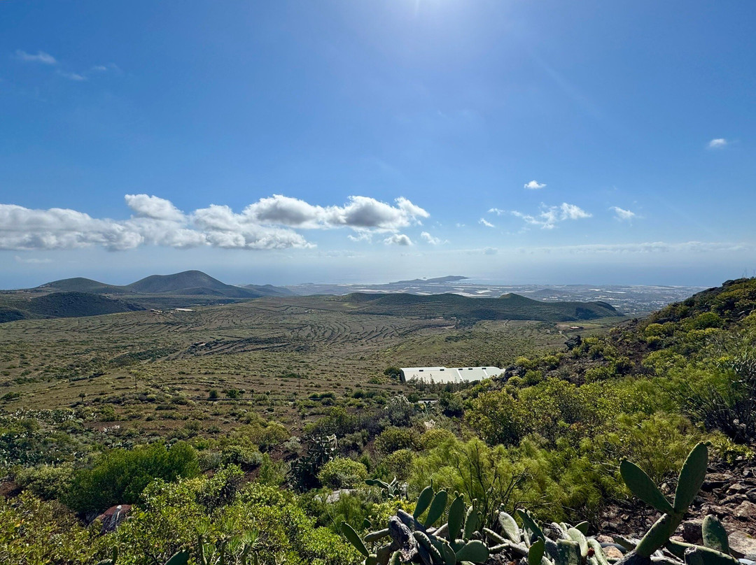 Pico De Las Nieves景点图片