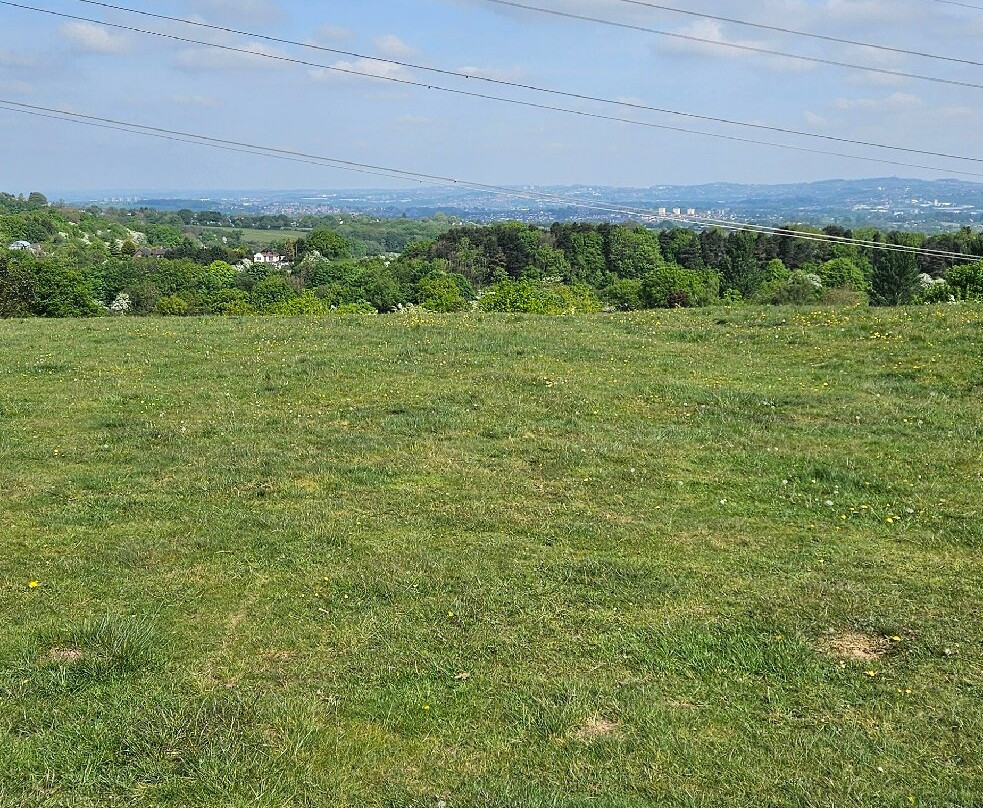 Waseley Hills Country Park-伯明翰必去景点