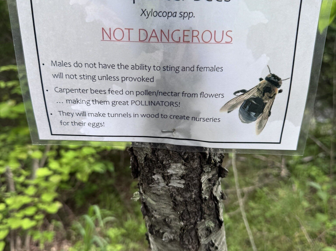 Salato Wildlife Education Center-法兰克福必去景点