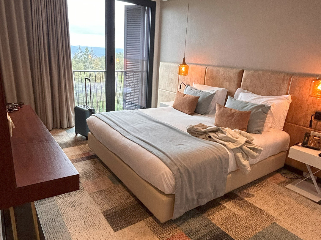 Pena Park Hotel主图