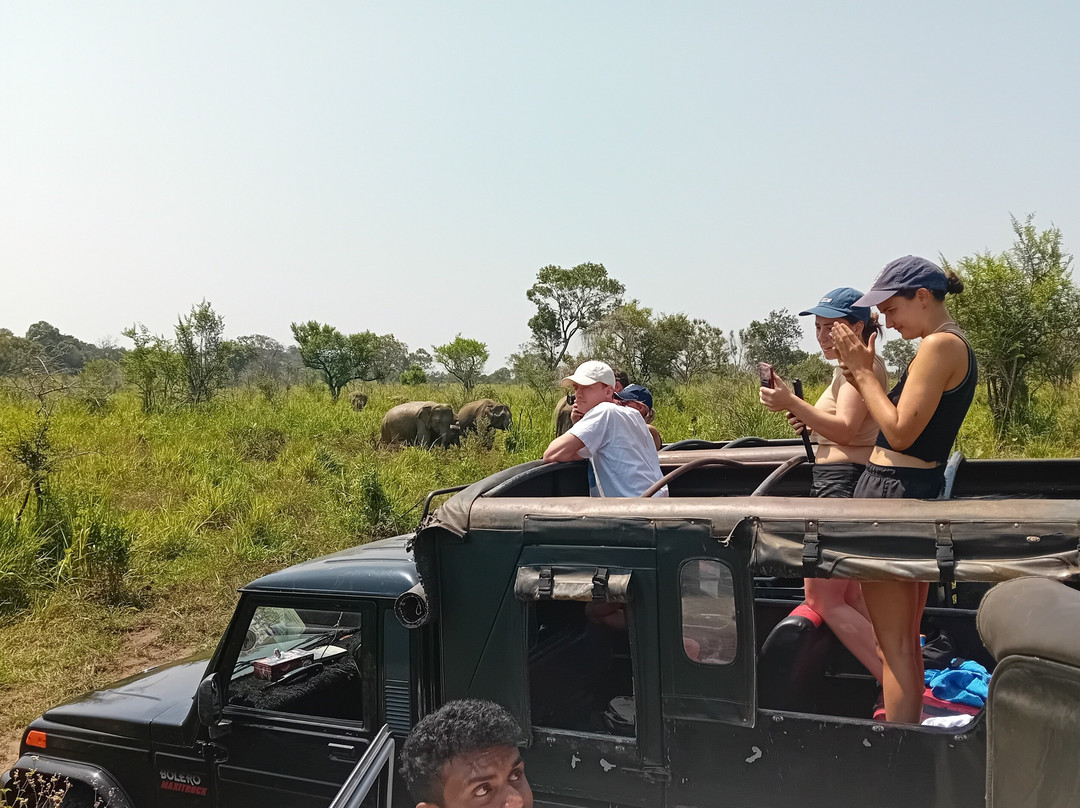 Ceylona Destinations-Waikkal必去景点