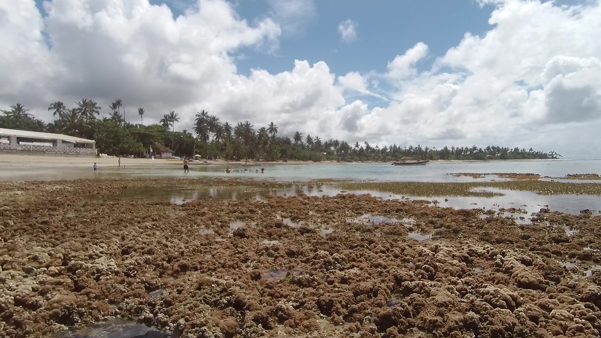 Bahia Principe Grand Samana-泳池