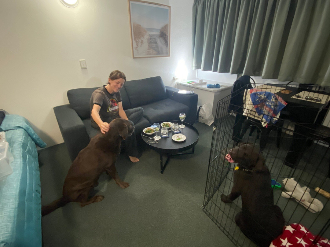 Reef Adventureland Motor Inn主图