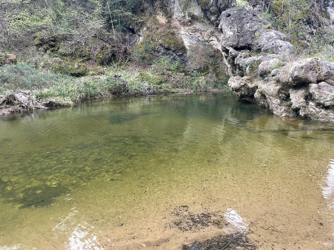 Azienda Agricola Diegale-Civitella Marittima必去景点
