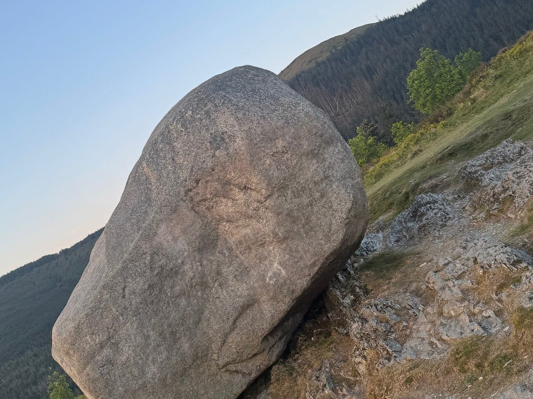 Connected Adventure.-贝尔法斯特必去景点