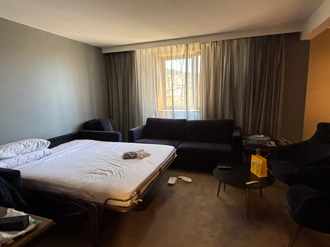 恩尔茨尼斯酒店主图